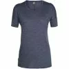 Icebreaker Elements Short Sleeve Low Crewe Womens -mountainsports Sales 2023 057716TH
