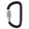 Petzl Am D Locking D Carabiner 1 Petzl Am D Locking D Carabiner -mountainsports Sales 2023 145137