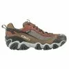 Oboz Firebrand II Low BDRY Hiking Shoes Mens -mountainsports Sales 2023 Untitled 13 5f2de183 81c0 44d9 96b6 88de4cf409dc