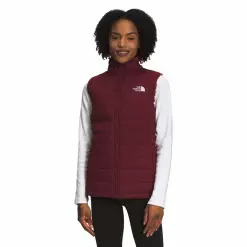 The North Face Mossbud Insulated Reversible Vest Womens 9 The North Face Mossbud Insulated Reversible Vest Womens -mountainsports Sales 2023 Untitled 1 12080b6b 417a 4c43 86ff a0a6072081f9