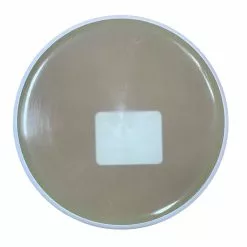 MVP Nano Marker Disc